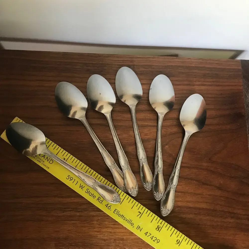 Oneida Wm. A. Rogers Fenway (Daydream) stainless, set of 6 teaspoons